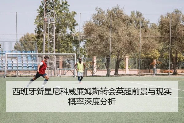 西班牙新星尼科威廉姆斯转会英超前景与现实概率深度分析