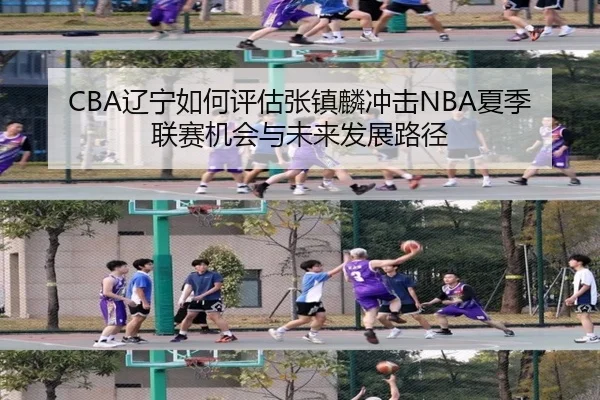 CBA辽宁如何评估张镇麟冲击NBA夏季联赛机会与未来发展路径