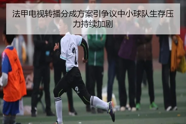 法甲电视转播分成方案引争议中小球队生存压力持续加剧